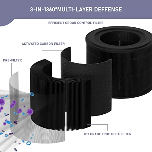 HEPA Filter Replacement for AirExpect/AirExtend 2 Pack - Remove VOCs, Dust, and Allergens